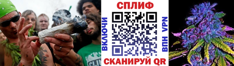 ГАШ Северская